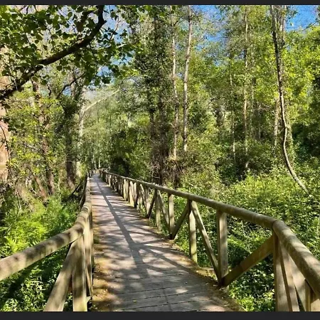 Апартаменты Elrosal2