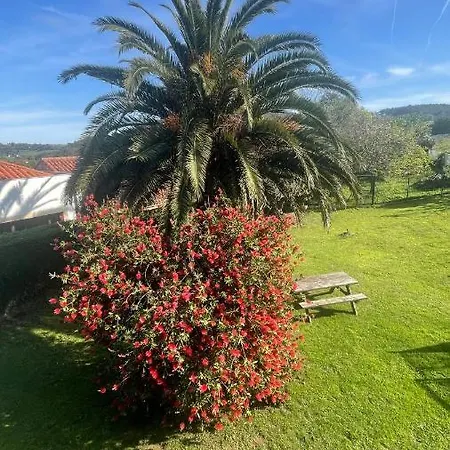 Elrosal2 Διαμέρισμα Cudillero